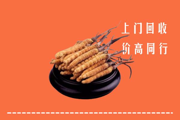 高价求购：铜山区回收散虫草