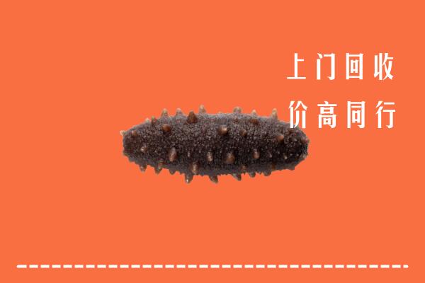 高价求购：铜山区回收海参