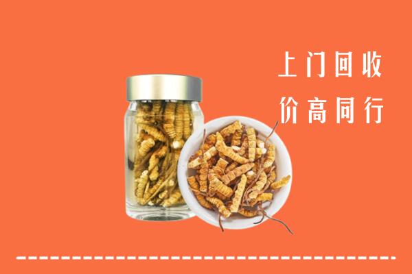 铜山区回收冬虫夏草
